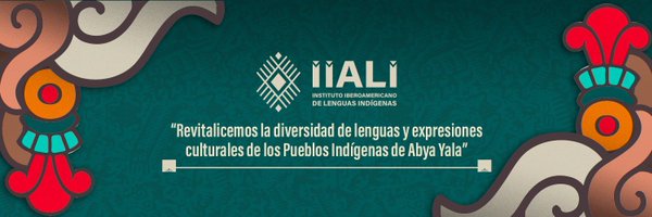 IIALI2023 Profile Banner