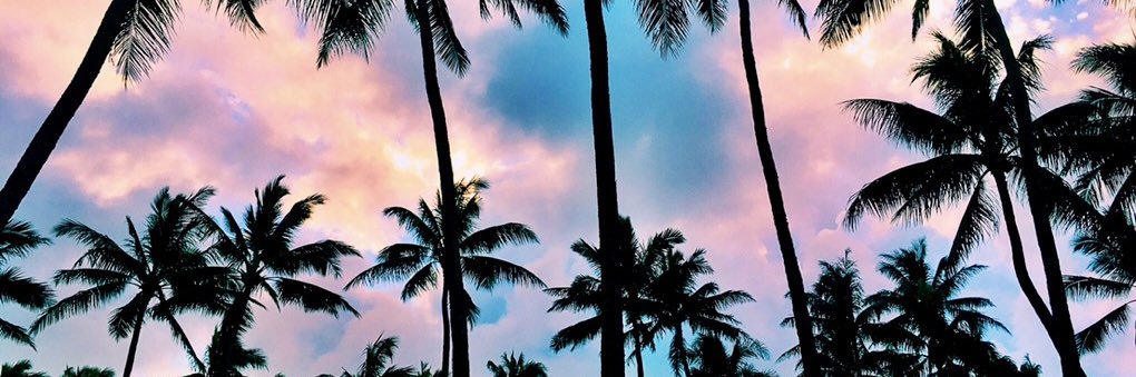 monicaaanicole's profile banner image