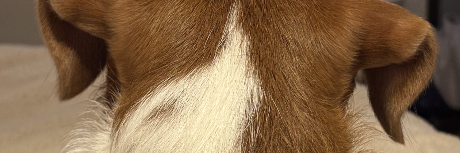 AnaPaiiola's profile banner image