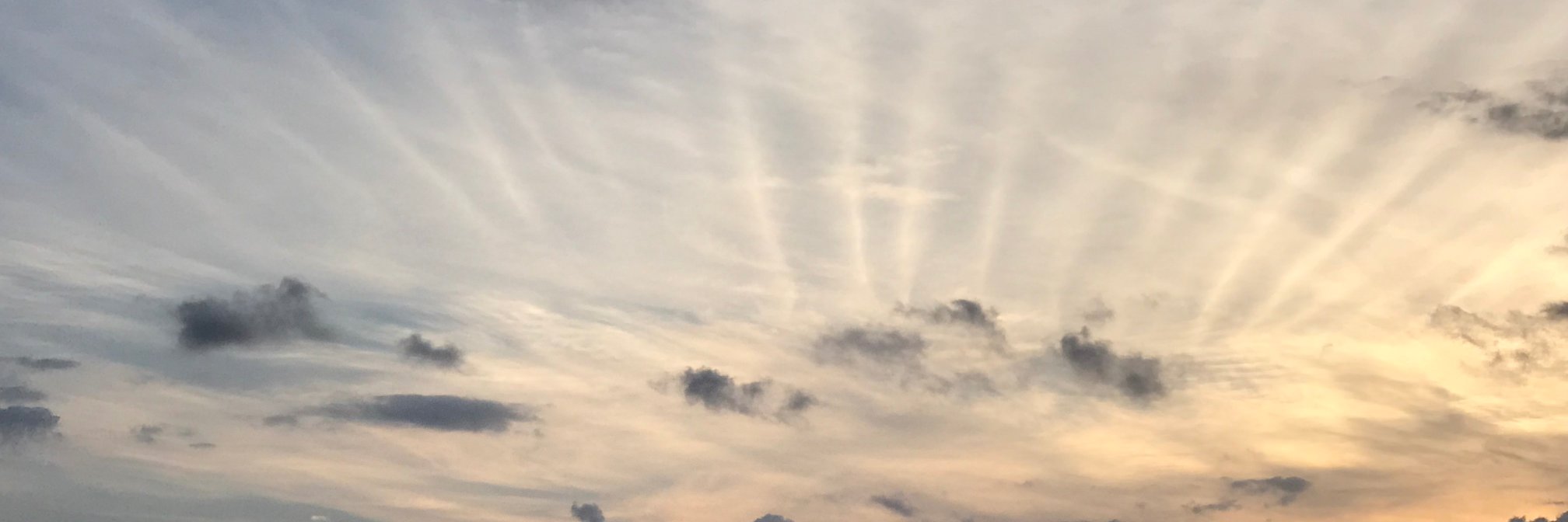 hazelheatherwoo's profile banner image
