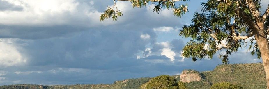 ednafaust's profile banner image