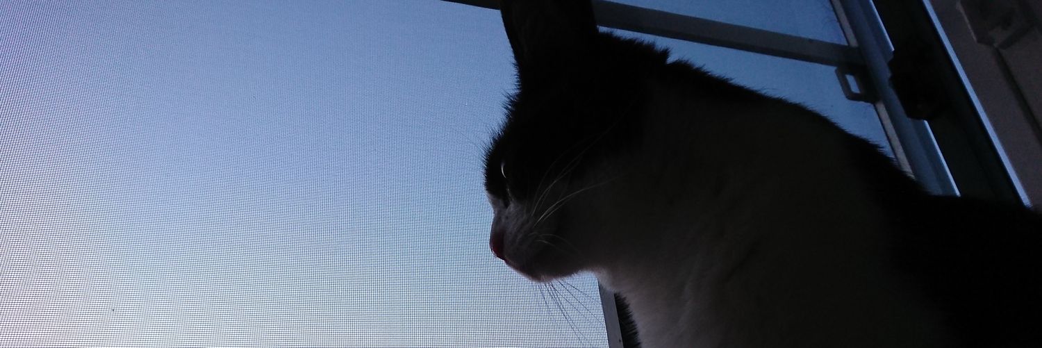 oconi5's profile banner image