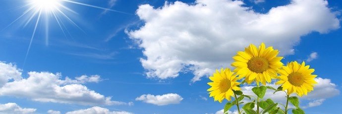 Splendid_Sun70's profile banner image