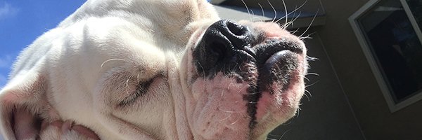 cgoodemote's profile banner image