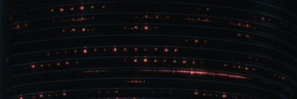AlpayAriyak Profile Banner