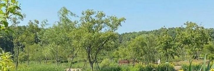 nooje111's profile banner image