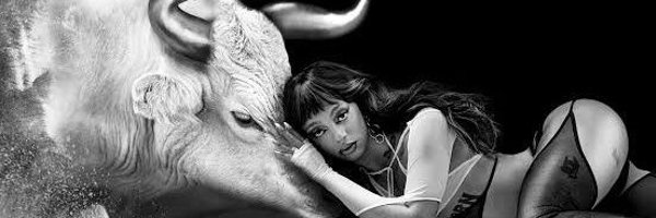 adoardin Profile Banner