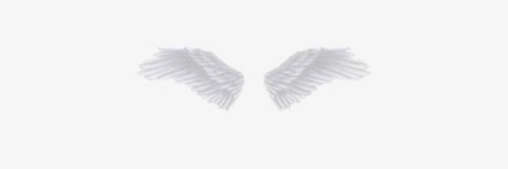 jensenxx's profile banner image
