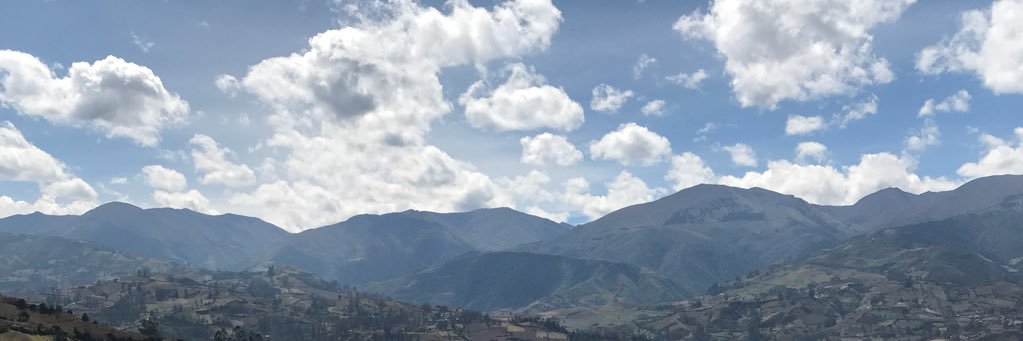 CYNSF7's profile banner image