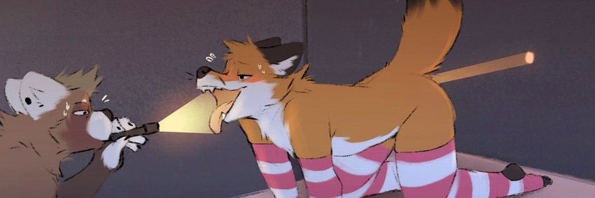 raposaleu's profile banner image