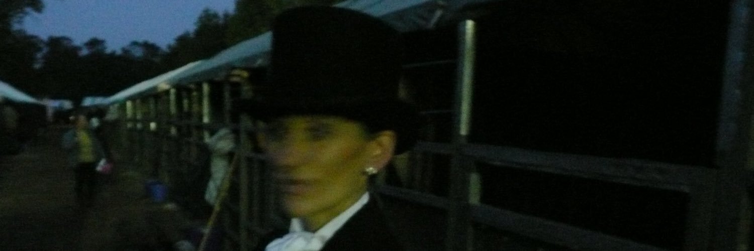 Tracey Parry🦋GBarmy banner