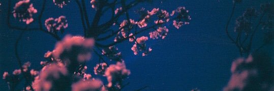 Tell_Me_Wishes's profile banner image