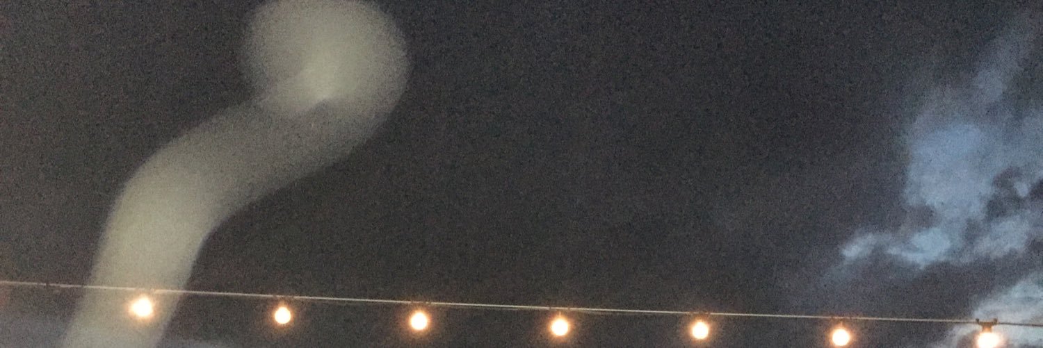 thepeacocke's profile banner image