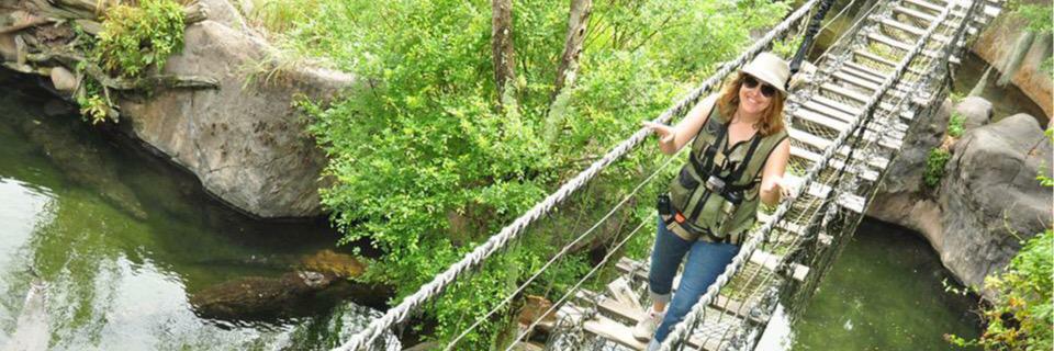 ConsumerQueen banner