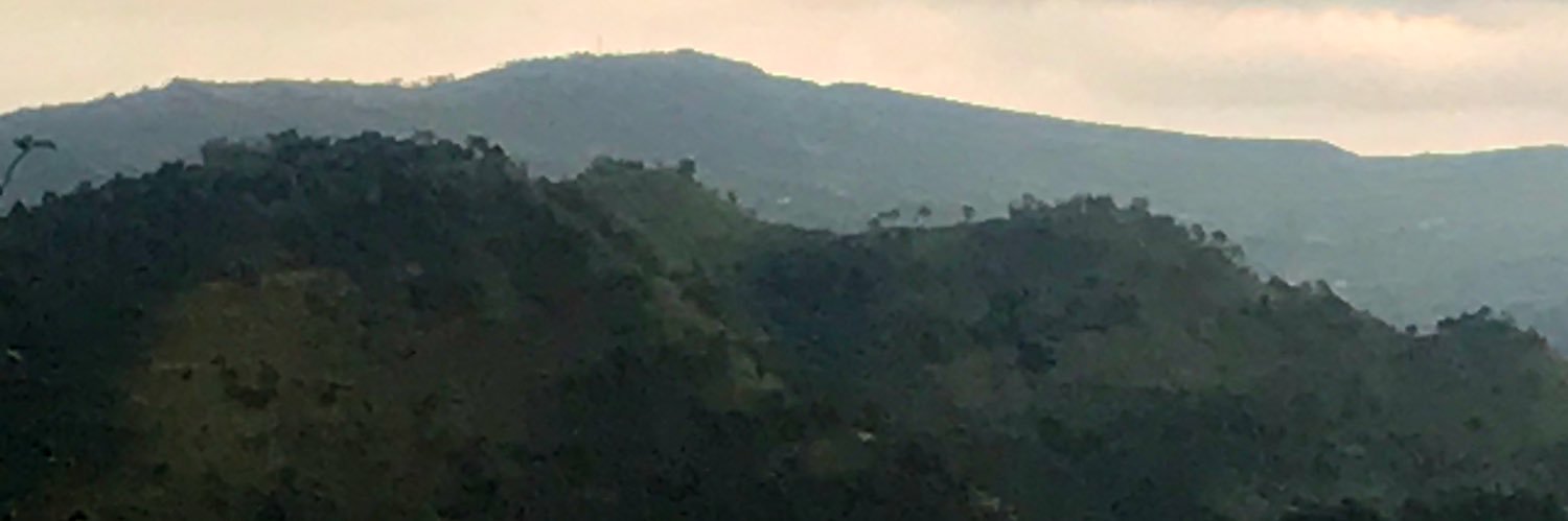 Sam Frey banner