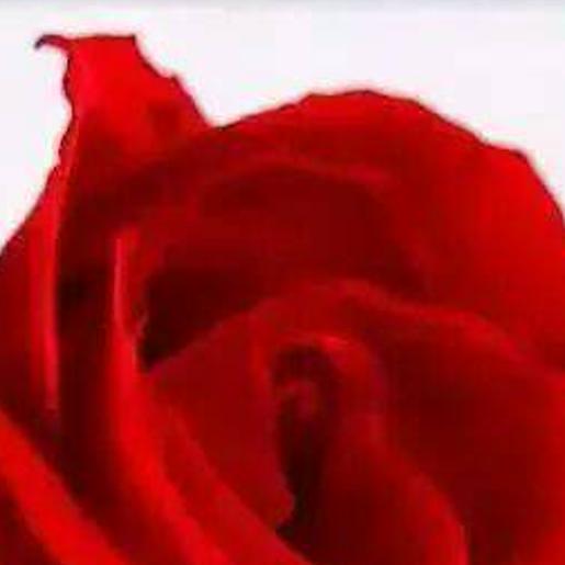 Darin30109948's profile banner image
