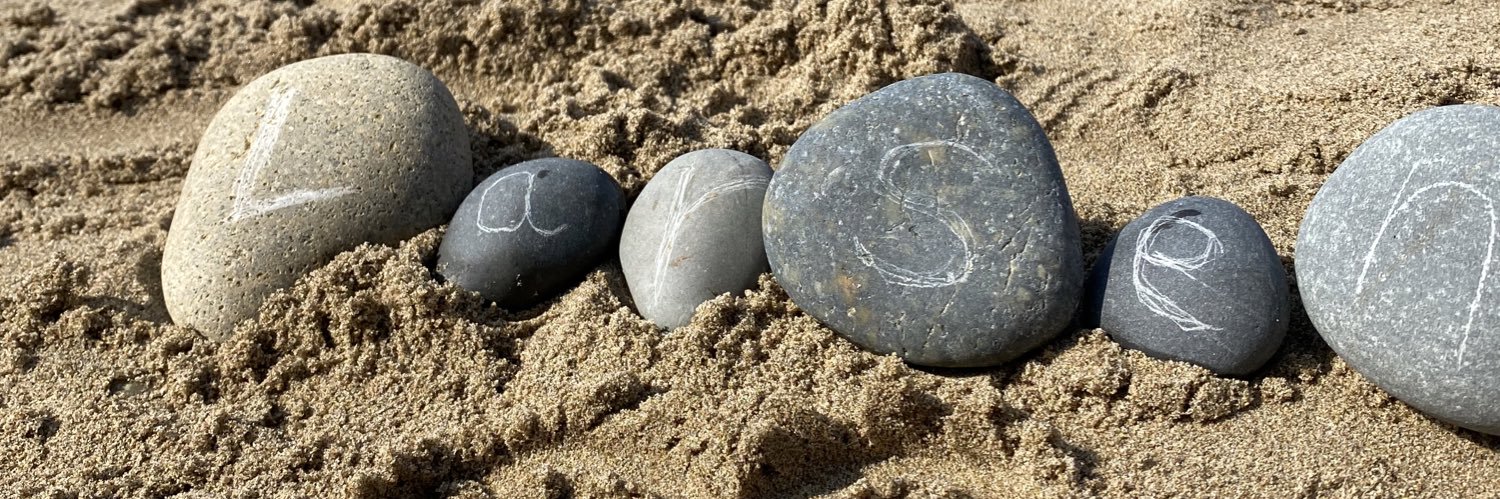 Holly Roberts banner