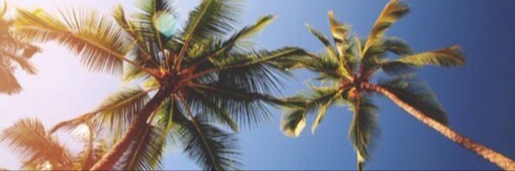DaraMus3_'s profile banner image