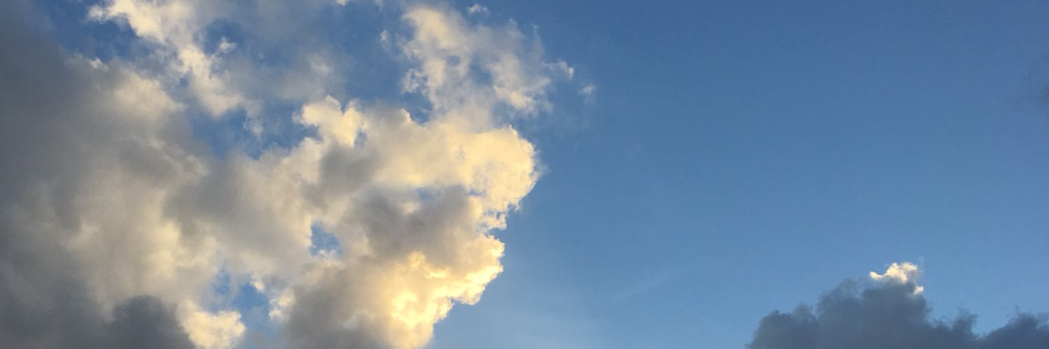 nipiiii's profile banner image