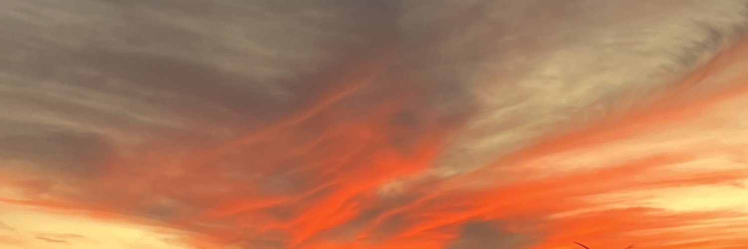ddianaq's profile banner image