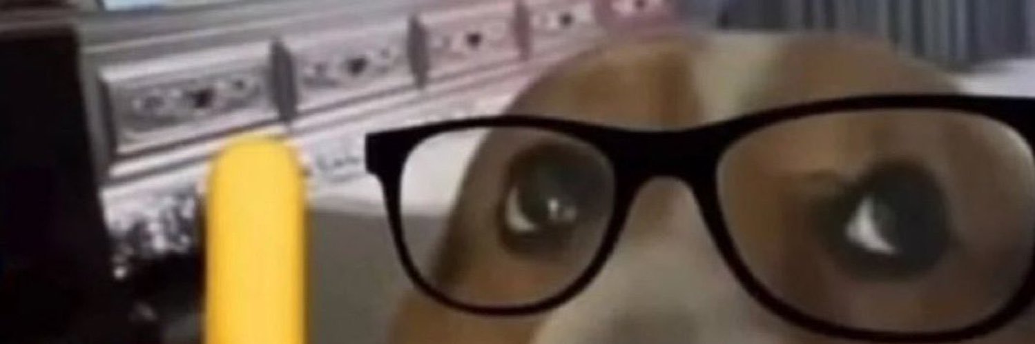 chaesneedy's profile banner image