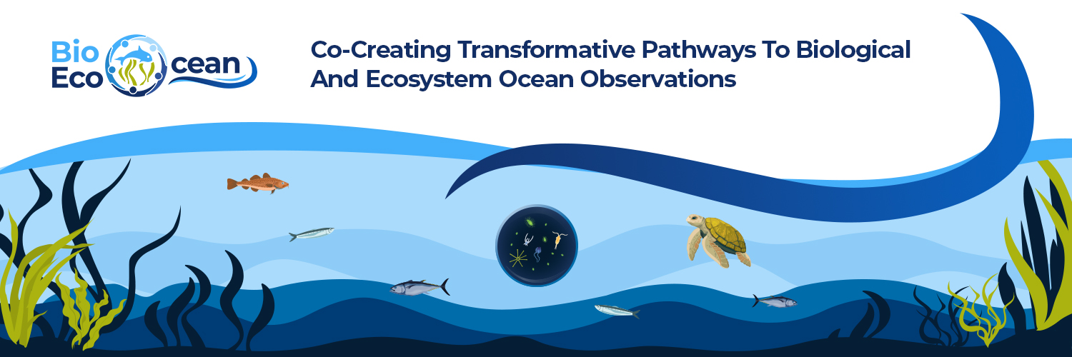 BioEcoOcean banner