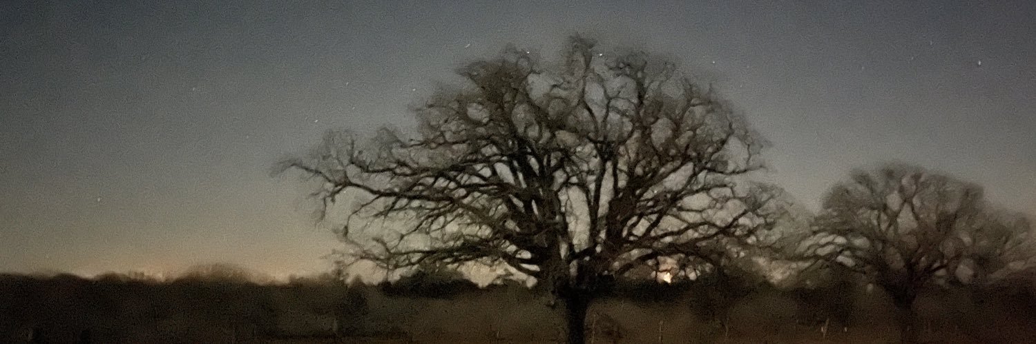 jdsnowden's profile banner image