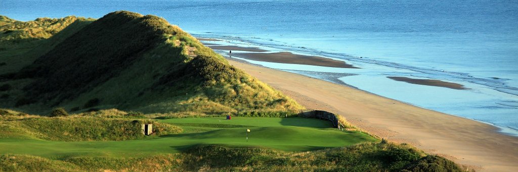 Jesse Gurevich banner