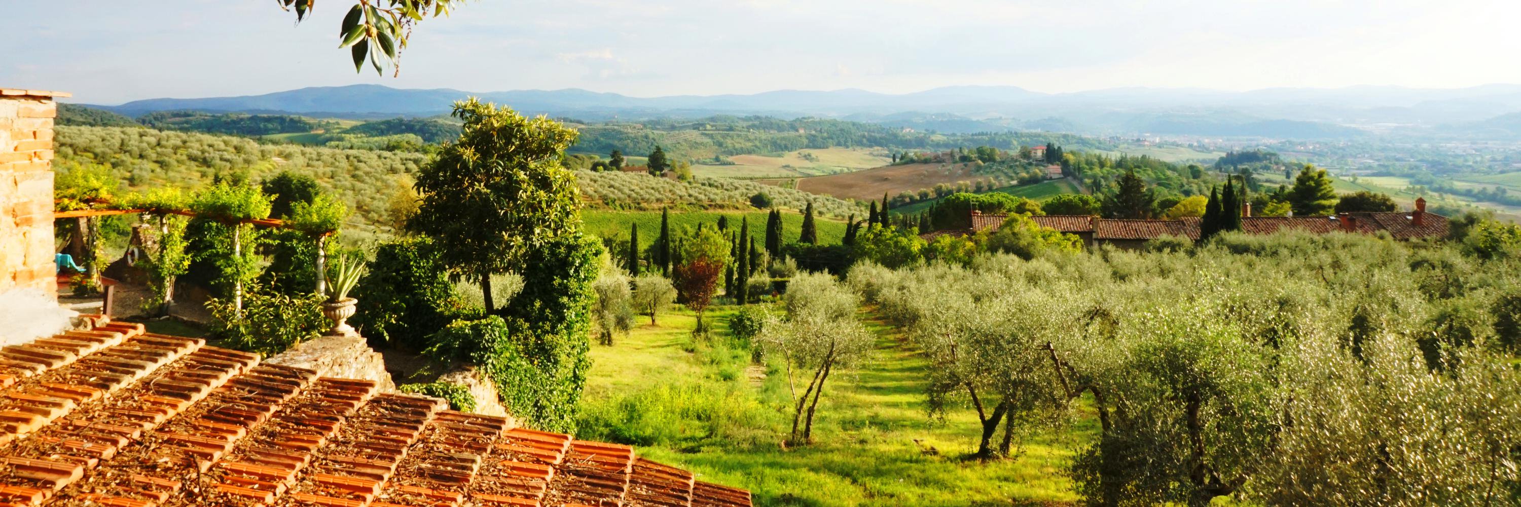 Sam Gapinski (Callahan) banner
