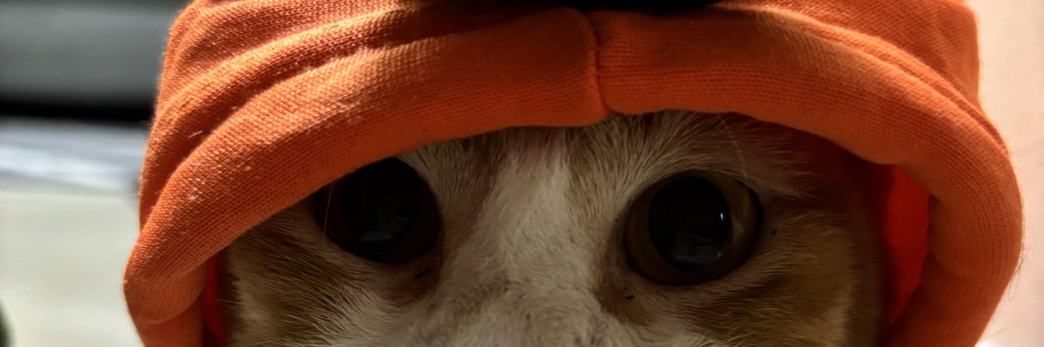 pds + krpkny yg bnyk! banner