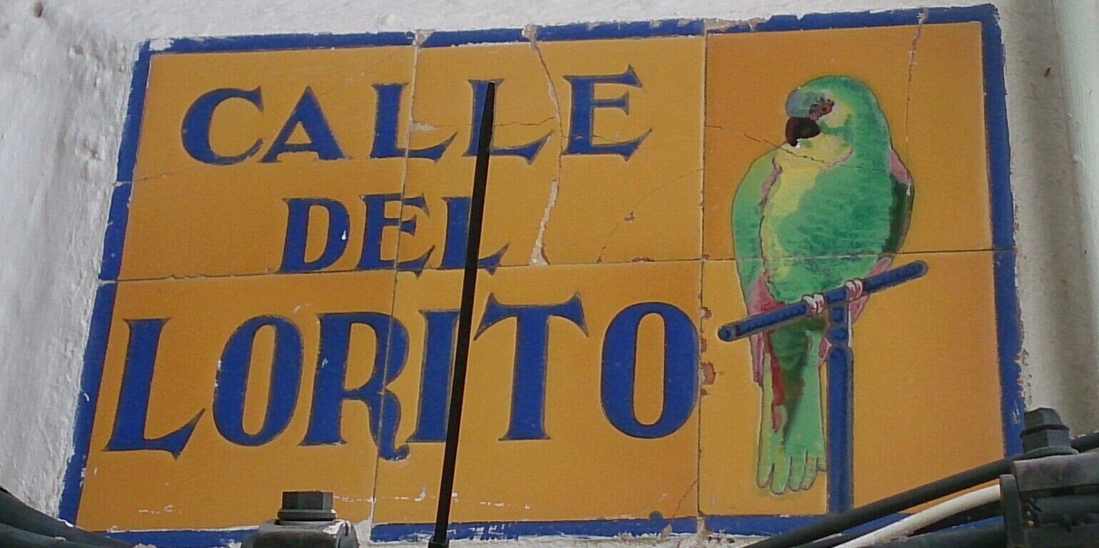 Boyerovic's profile banner image