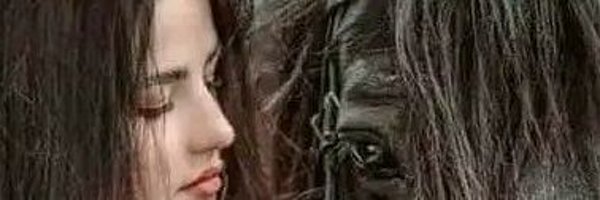 dwztdwzt146750 Profile Banner