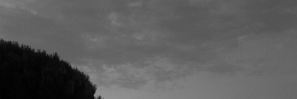 x banner