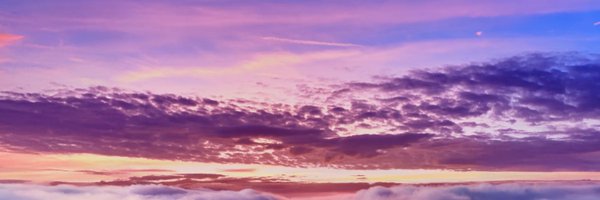 thePMCF Profile Banner