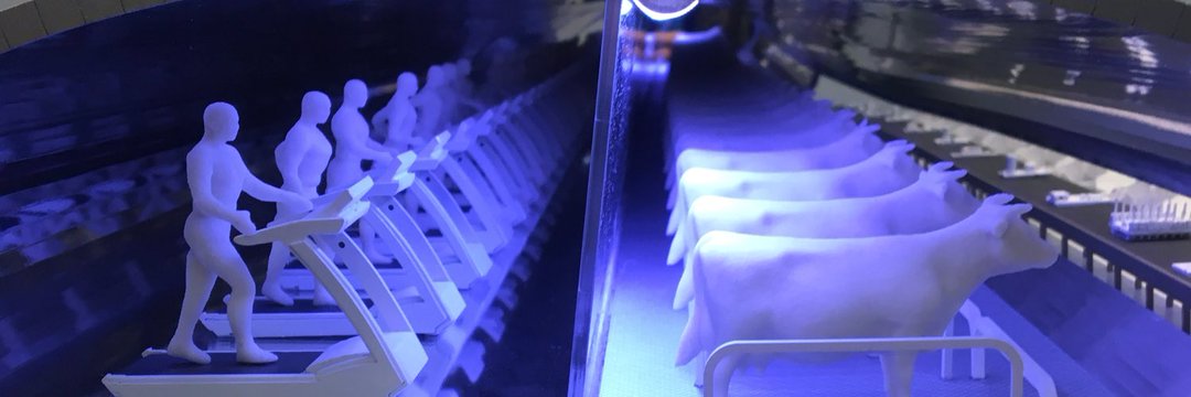 Fatih Bora Ekim banner