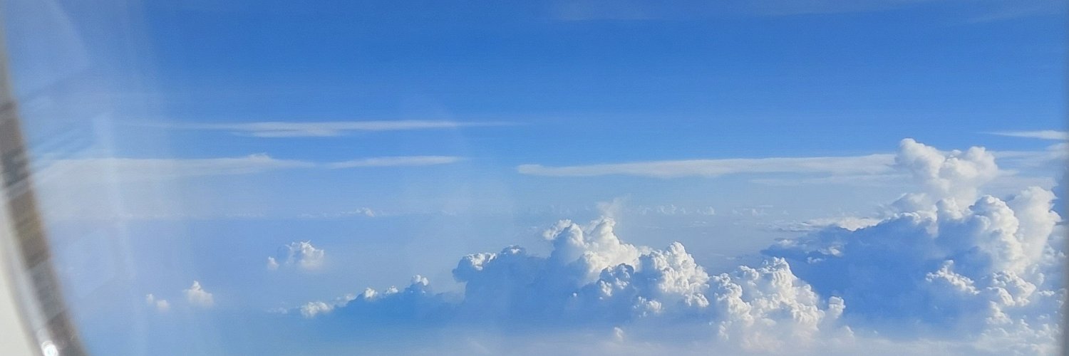 Julia Ahn banner
