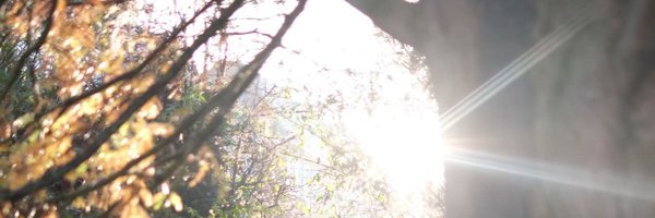 MarcoOvalleMA Profile Banner