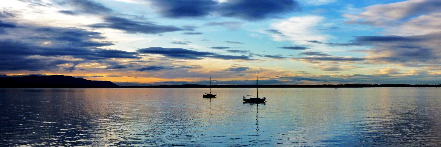 Bellingham Experience banner