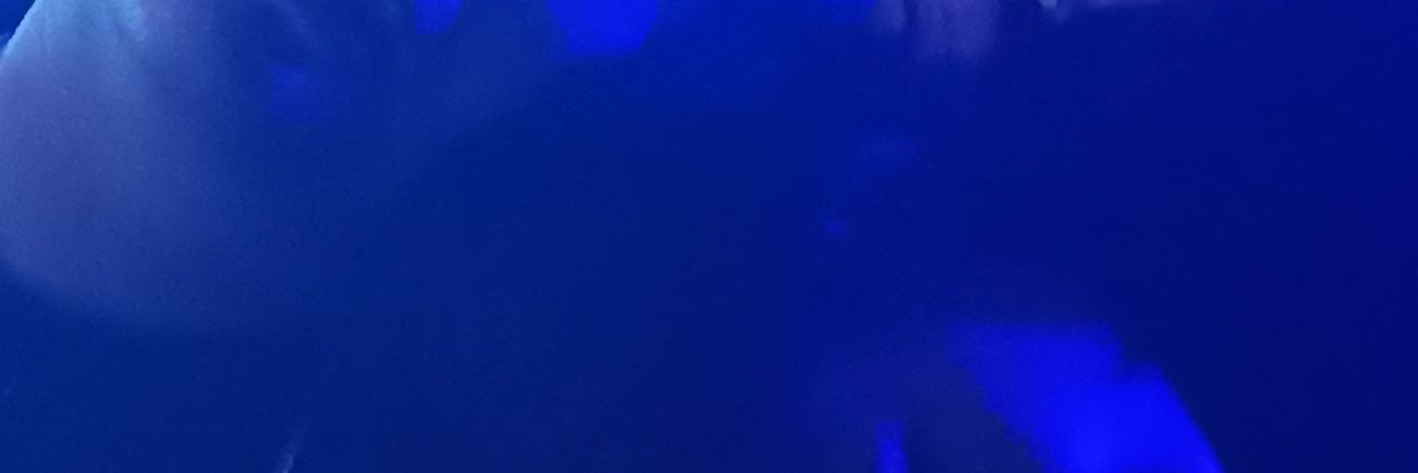 Justcallmebii's profile banner image