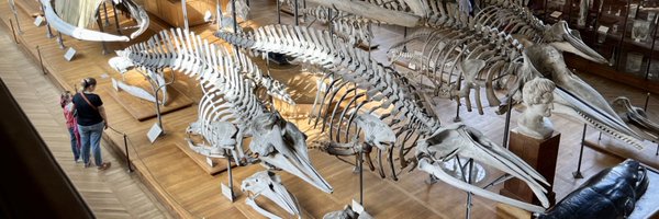 TessaPlint Profile Banner