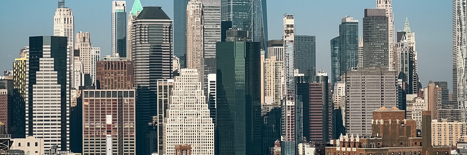 Manuel Pellón banner