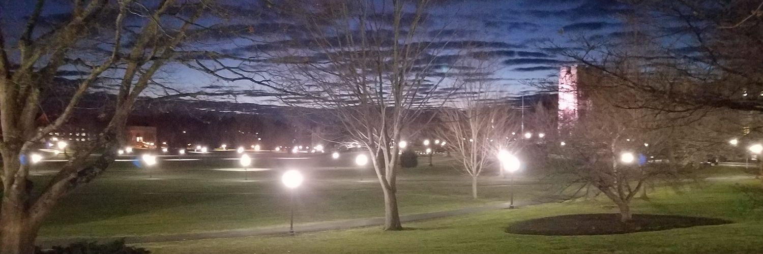 Roger Schürch banner