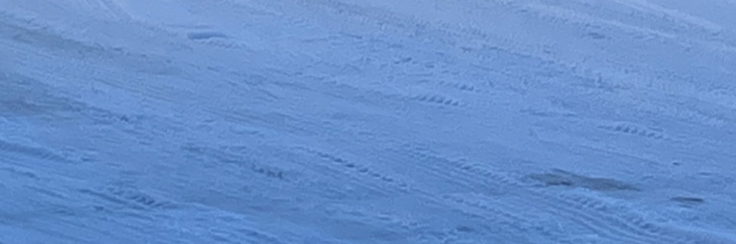 papipapi7689's profile banner image