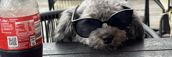 kiwithedoge Profile Banner