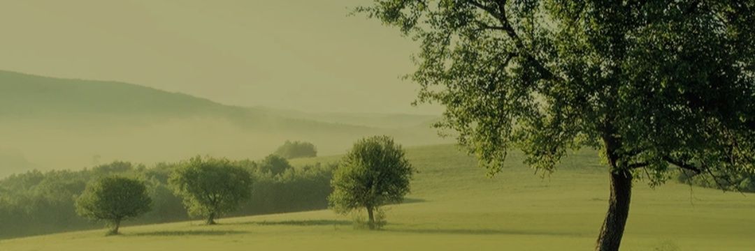 Live your life banner