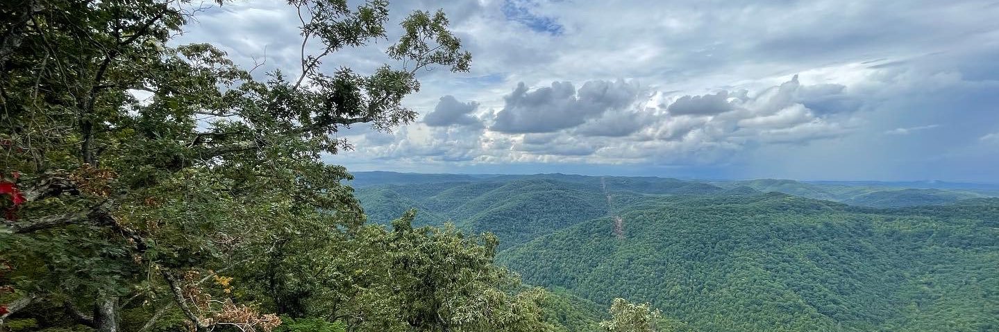 Michael Goins banner