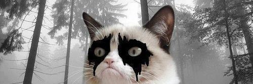 MariadelaDoom's profile banner image