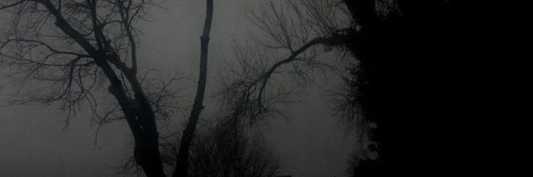 Suor Aria🩸IA banner