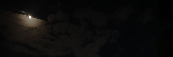 snowinn Profile Banner