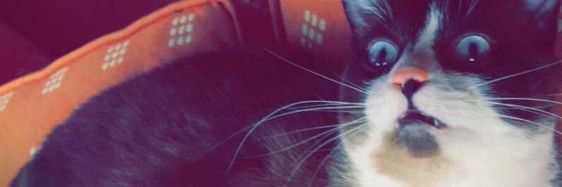 Jennifred101's profile banner image